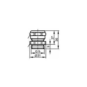 E43019 IFM